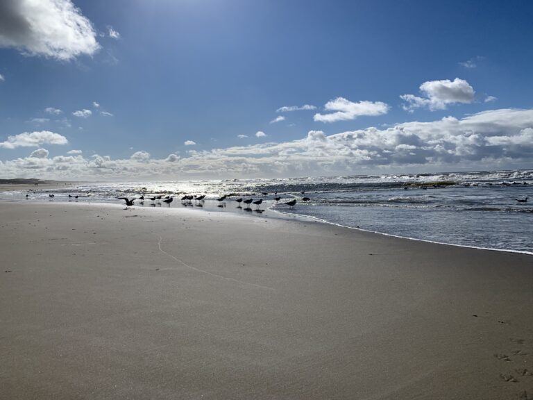 Alle begin is spannend!