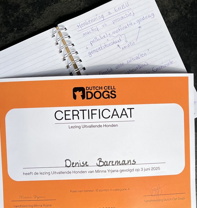 Bijscholing = feestje!🎉 Maar een uitvallende hond niet…